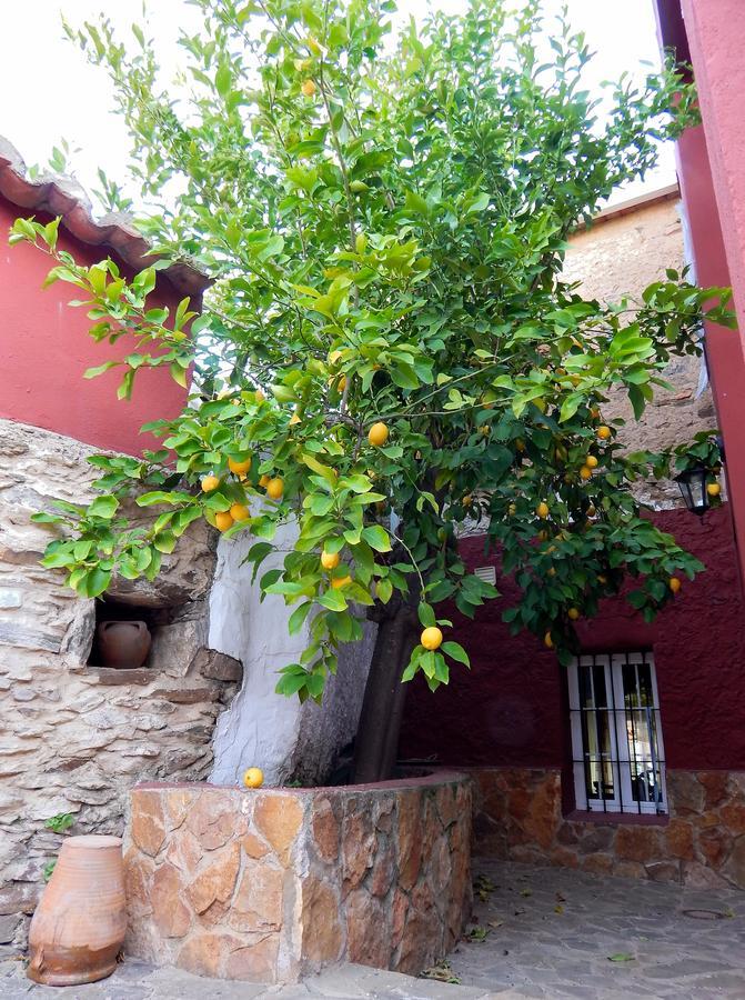 Casa Rural La Perra Gorda Zorita  Eksteriør billede